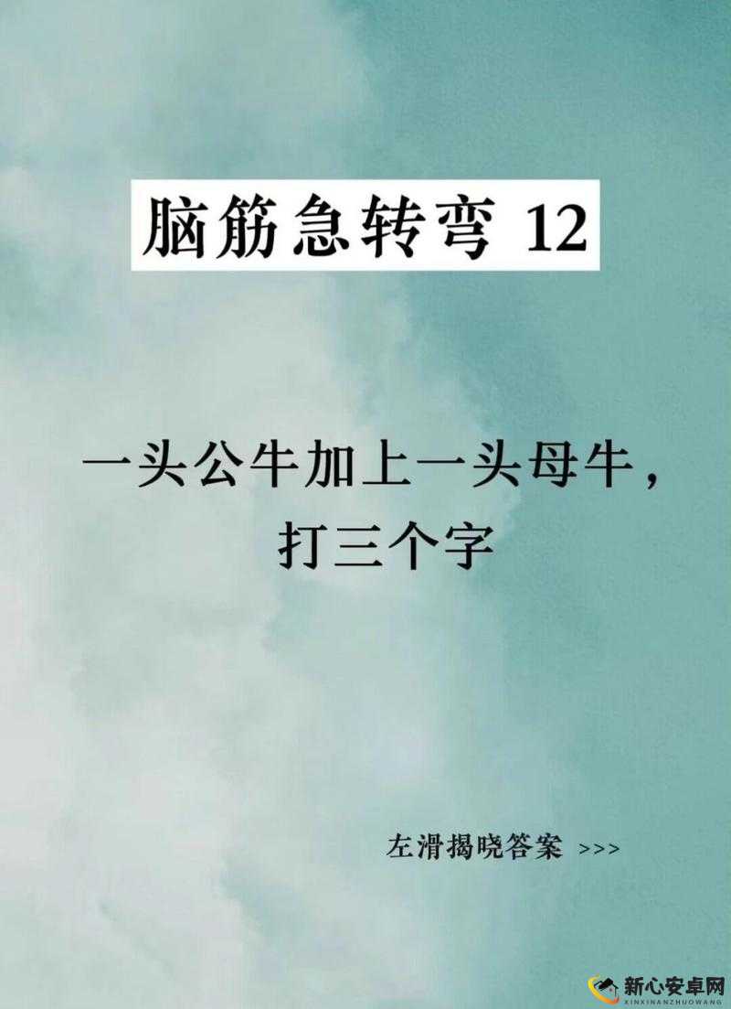 公牛母牛猜三字 大脑乱斗75关攻略揭秘