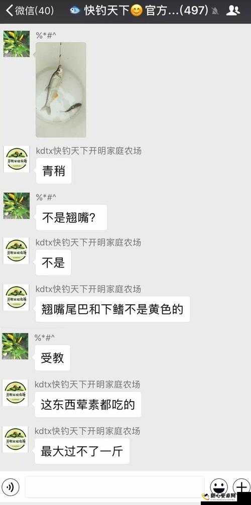 月亮宠数量揭秘，目前到底有多少个da答案等你揭晓